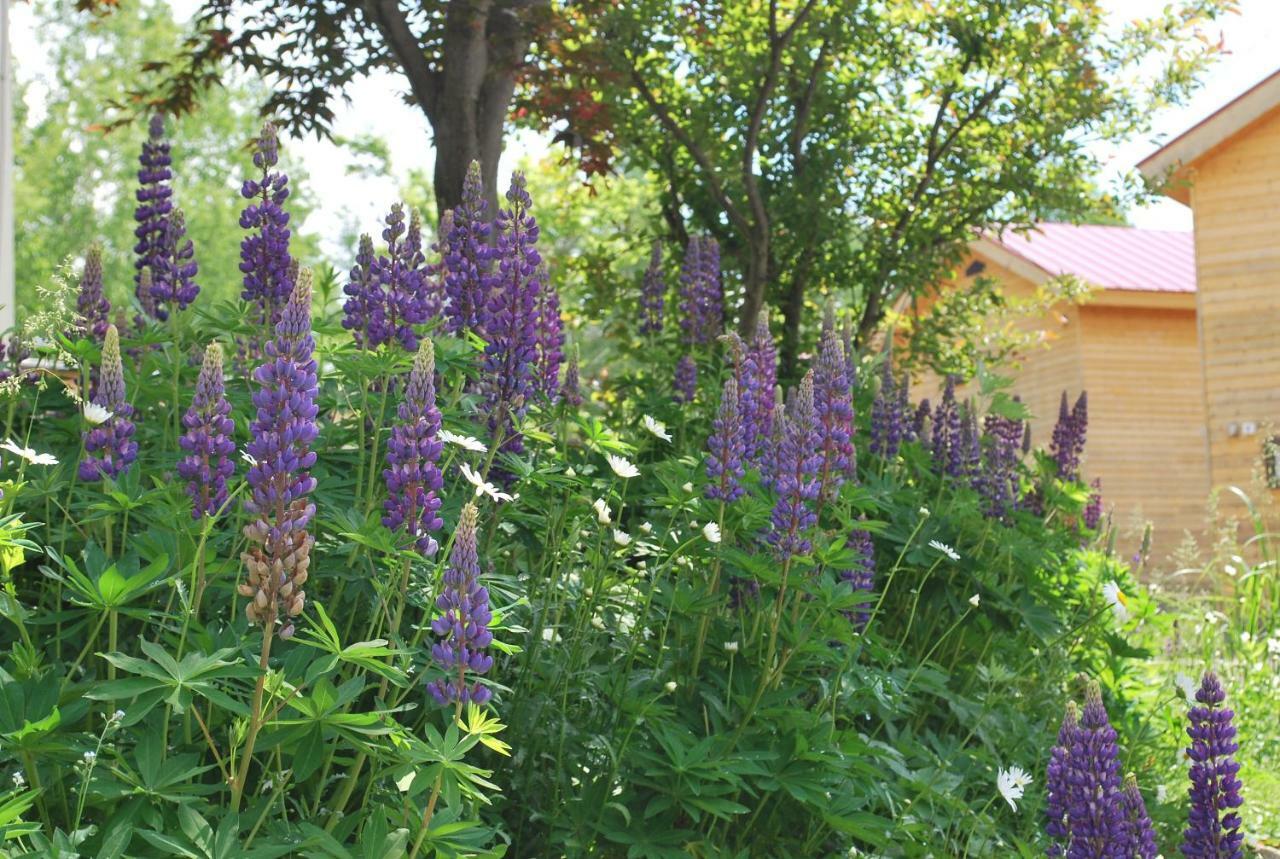Auberge Ninguruforet Biei Exterior photo